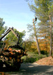 travaux forestier travaux forestier
