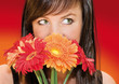 red flowers