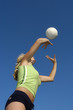 play volleyball