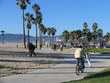 beach trail
