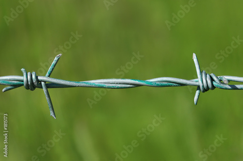 Photo: barbed wire barbed wire