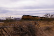 train in the desert