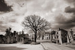 oradour sur glane oradour sur glane