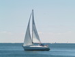 sail boat on ontario lake