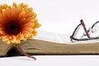 old book and flower