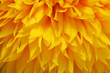 natural background
