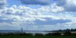 the harbor the harbor