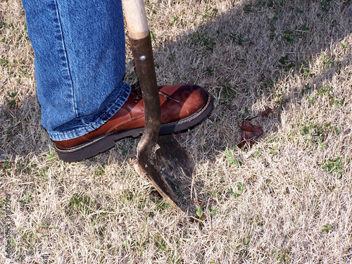 Photo: digging in the ground digging in the ground