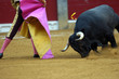 arte torero