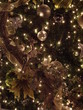 decorated for the holidays