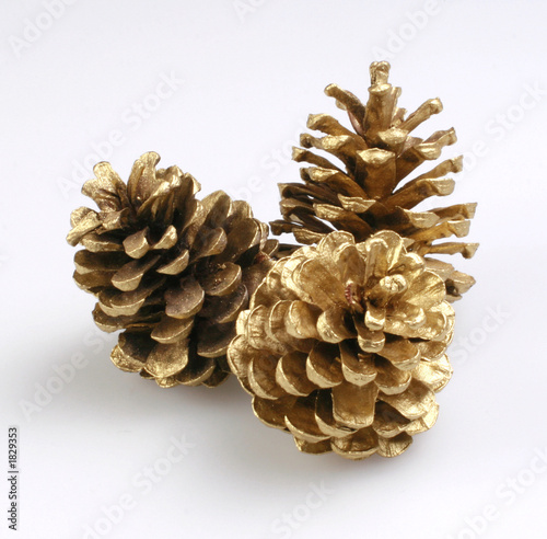 piñas doradas
