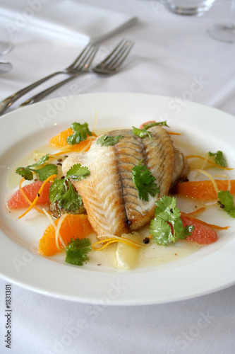 fish fillet