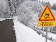 verglas fréquent2