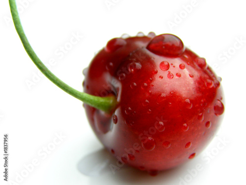 cherry cherry