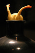 rubber chicken in a jug rubber chicken in a jug