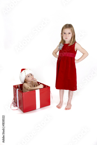 Photo: christmas surprise - series christmas surprise - series