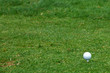 golf ball