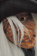 fasching