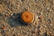 pollution objets sur la plage