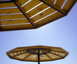 parasols from the sun