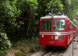 tram tram