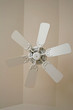 ceiling fan