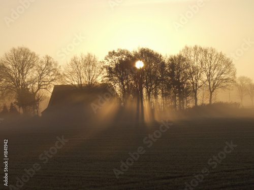novembermorgen