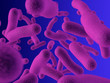 bacteria