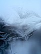 frosty pattern