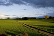 abendstimmung