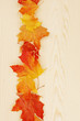 pine of fall season
