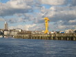 grue jaune à nantes