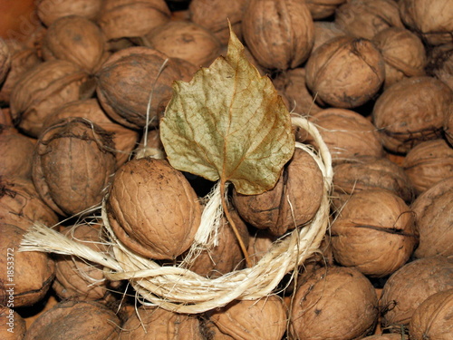walnut-autumn walnut-autumn