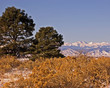 mt. evans in winter