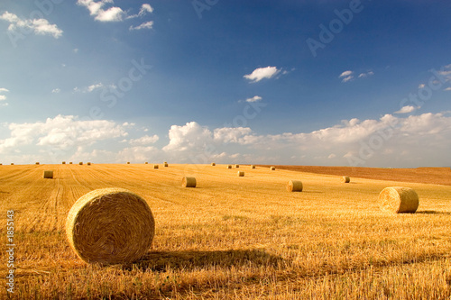 feld ii feld ii