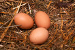 three eggs
