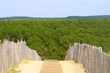 vers la foret