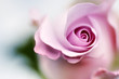 tenderness