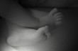 petits pieds