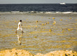 young afro-american walking in coastline