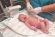 newborn