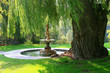 tranquility in the park tranquility in the park
