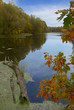 autumn view