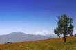 mountain landscape