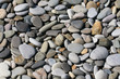 sea pebble close up
