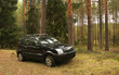 the automobile at a pine forest the automobile at a pine forest