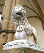 lion,