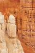 amphitheater - bryce canyon amphitheater - bryce canyon