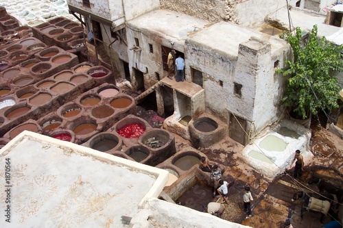 Photo: tannery tannery