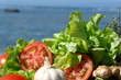 salades des tropique salades des tropique